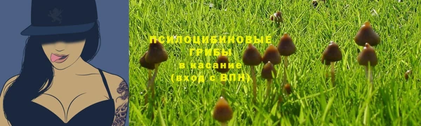 бошки Беломорск