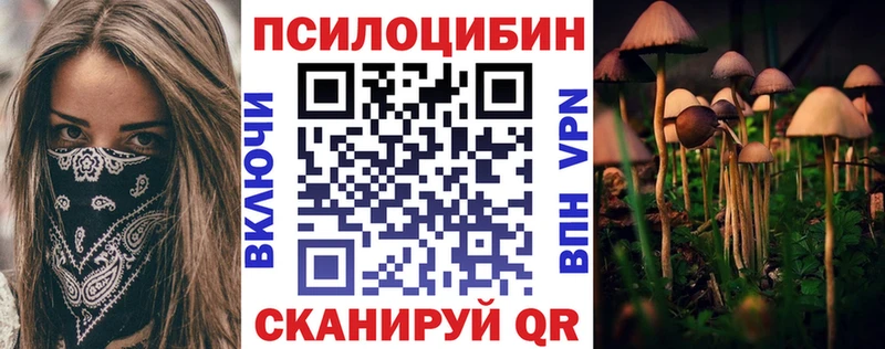 Псилоцибиновые грибы Psilocybine cubensis  Холмск 